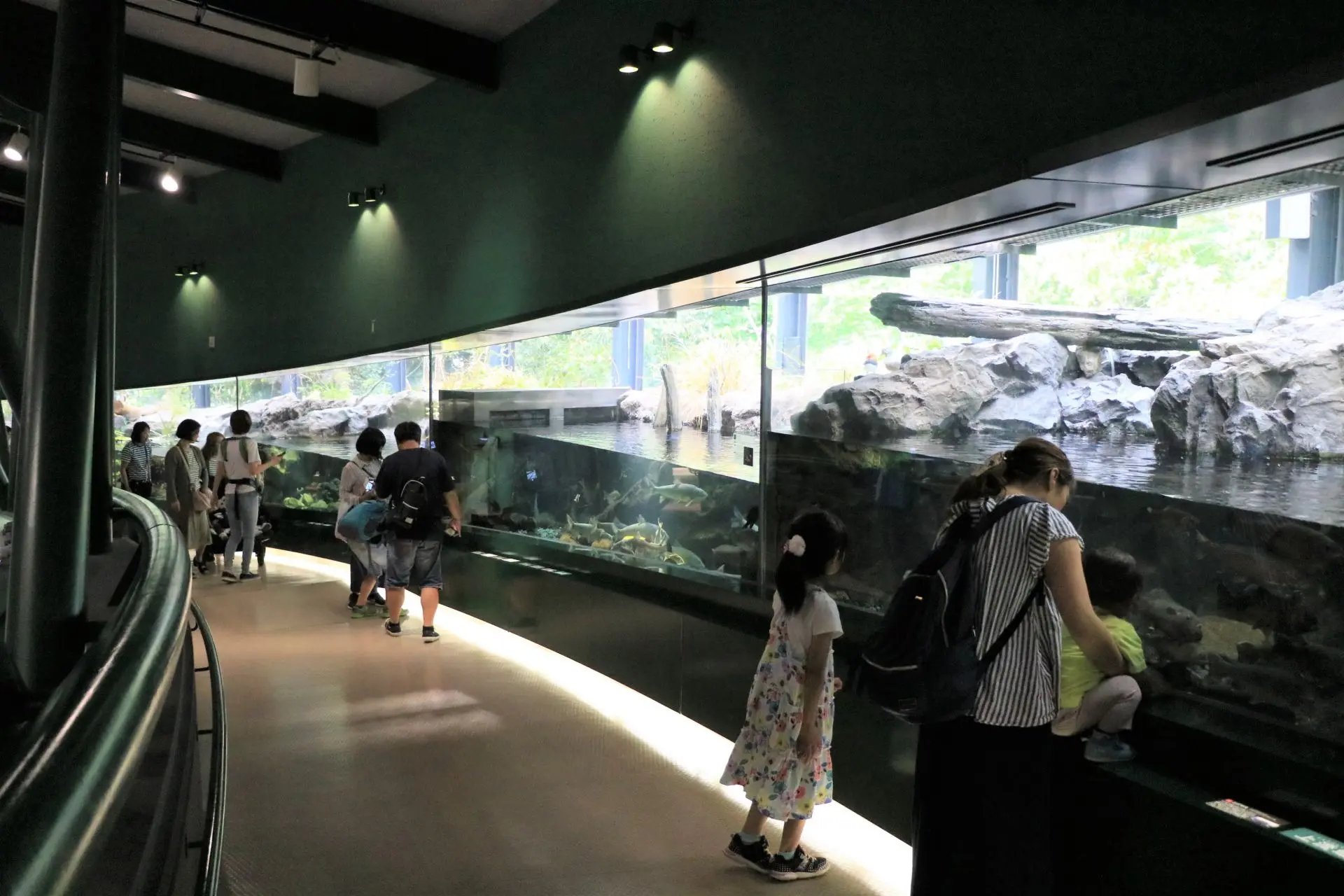 🐠 사가미강 후레아이 과학관 아쿠아리움 사가미하라 이미지 8